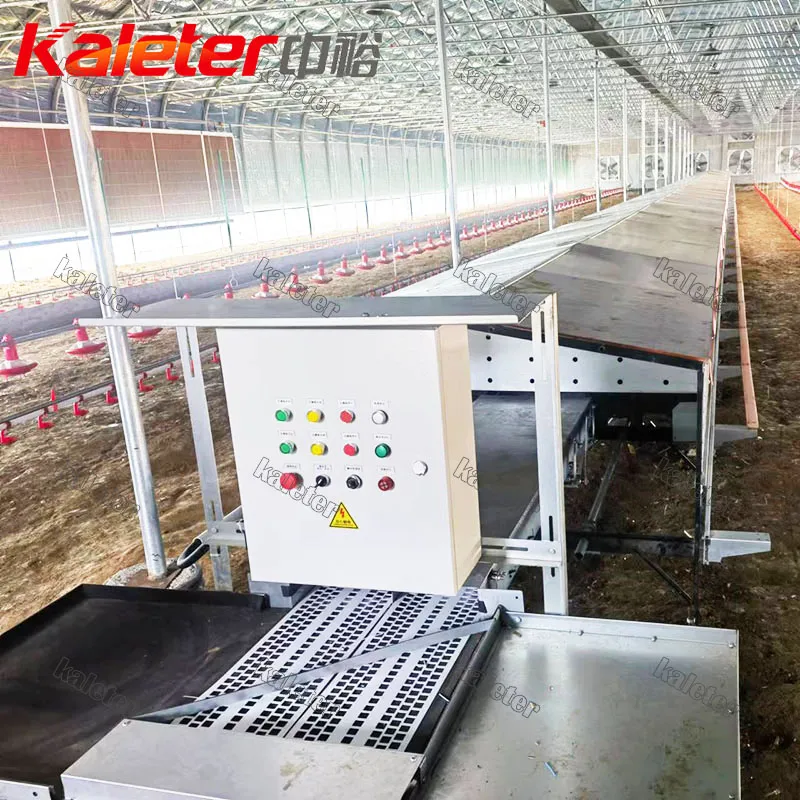 Free Range Pollo Cultivo Laying Coop Nido Automático Colección de aves de corral Cajas de Anidación Roll Away Gallina y Producción de Huevos - Sistema de alimentación de aves de corral de cría - foodmachtech